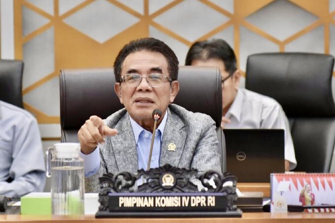 Dugaan Dampak Tailing PT Freeport di Mimika, Komisi IV DPR RI Sepakati Bentuk Tim